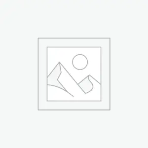 플레이스홀더